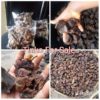 Highly Nutritious Tinko (Dried Cow Meat) -12Pcs