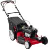 Gasoline Lawn Mowing Machine Hand Push 5HP